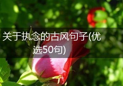 关于执念的古风句子(优选50句)