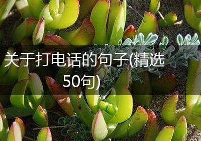 关于打电话的句子(精选50句)