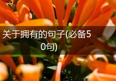 关于拥有的句子(必备50句)