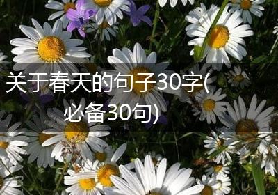 关于春天的句子30字(必备30句)