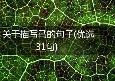 关于描写马的句子(优选31句)