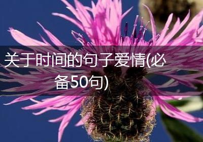 关于时间的句子爱情(必备50句)