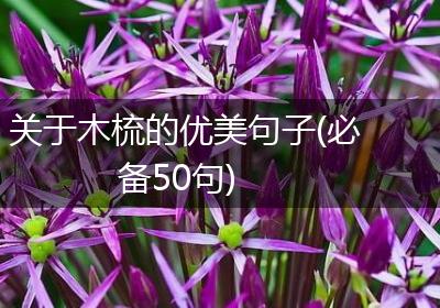 关于木梳的优美句子(必备50句)