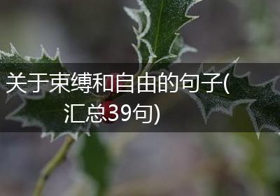 关于束缚和自由的句子(汇总39句)