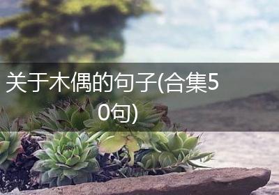 关于木偶的句子(合集50句)