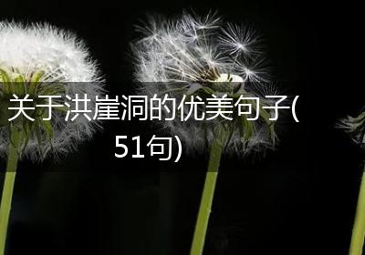 关于洪崖洞的优美句子(51句)