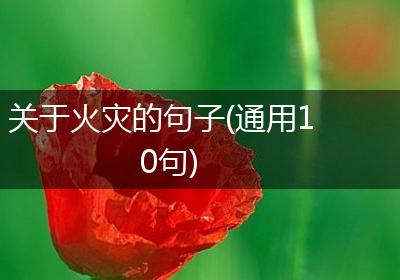 关于火灾的句子(通用10句)