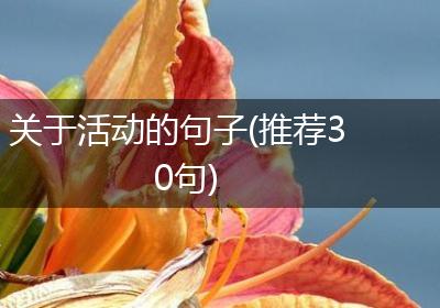 关于活动的句子(推荐30句)