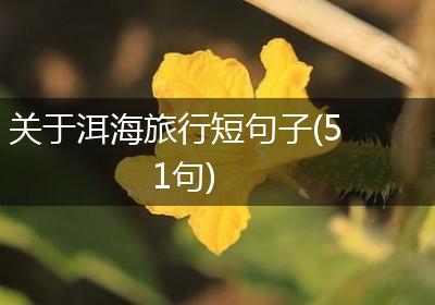 关于洱海旅行短句子(51句)