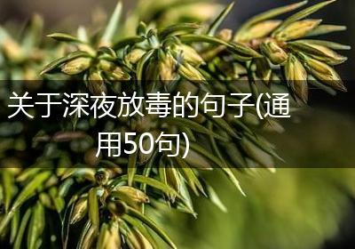 关于深夜放毒的句子(通用50句)