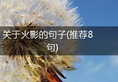 关于火影的句子(推荐8句)