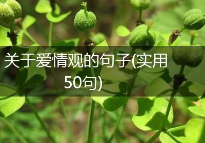关于爱情观的句子(实用50句)