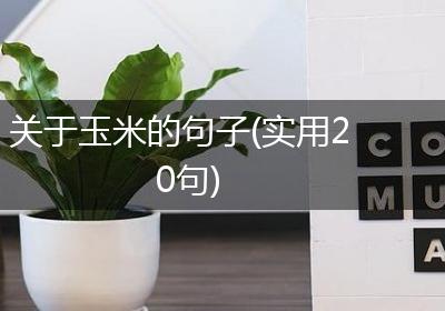 关于玉米的句子(实用20句)