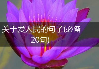 关于爱人民的句子(必备20句)