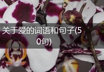 关于爱的词语和句子(50句)