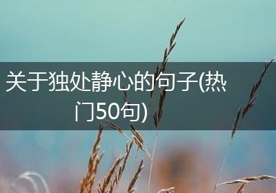 关于独处静心的句子(热门50句)