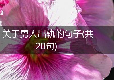 关于男人出轨的句子(共20句)