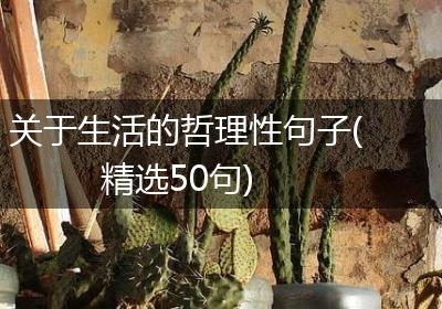 关于生活的哲理性句子(精选50句)