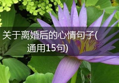 关于离婚后的心情句子(通用15句)