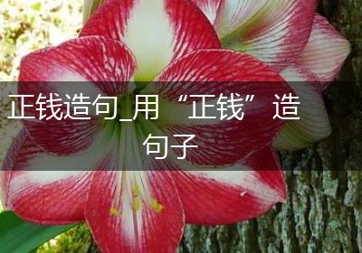 正钱造句_用“正钱”造句子