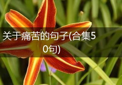 关于痛苦的句子(合集50句)