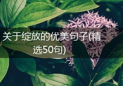 关于绽放的优美句子(精选50句)
