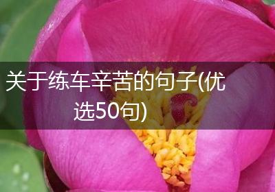 关于练车辛苦的句子(优选50句)