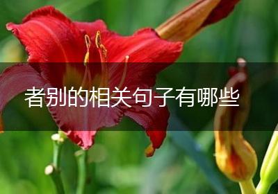 者别的相关句子有哪些