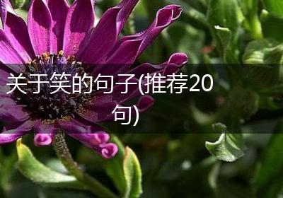 关于笑的句子(推荐20句)