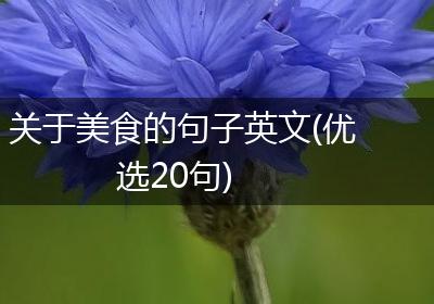 关于美食的句子英文(优选20句)
