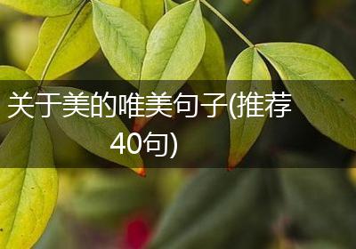 关于美的唯美句子(推荐40句)
