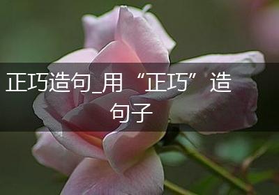 正巧造句_用“正巧”造句子