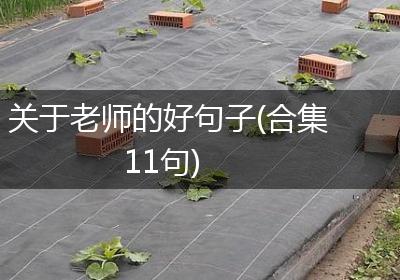 关于老师的好句子(合集11句)