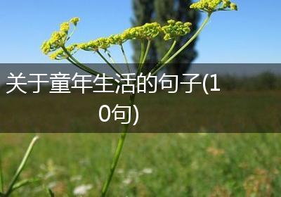 关于童年生活的句子(10句)