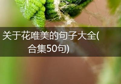 关于花唯美的句子大全(合集50句)