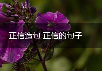 正信造句 正信的句子