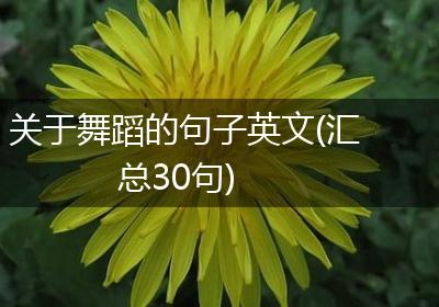 关于舞蹈的句子英文(汇总30句)