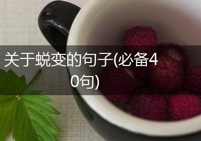 关于蜕变的句子(必备40句)