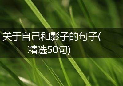 关于自己和影子的句子(精选50句)