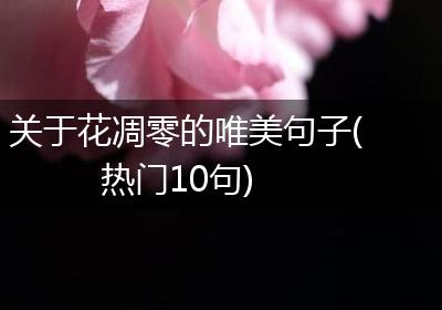 关于花凋零的唯美句子(热门10句)
