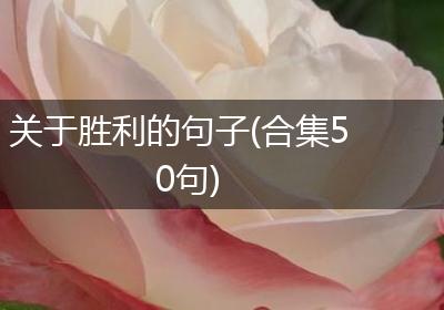 关于胜利的句子(合集50句)