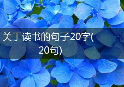 关于读书的句子20字(20句)