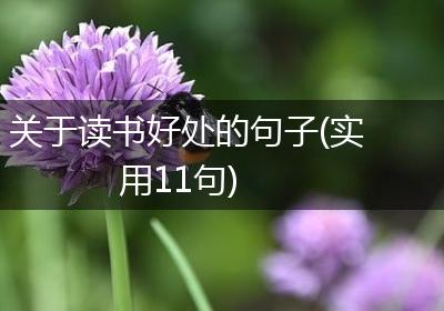 关于读书好处的句子(实用11句)