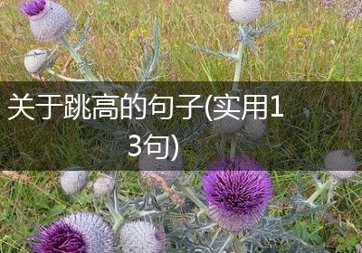 关于跳高的句子(实用13句)