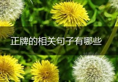 正牌的相关句子有哪些