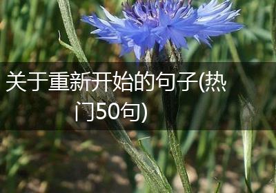 关于重新开始的句子(热门50句)