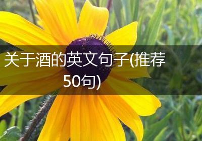 关于酒的英文句子(推荐50句)