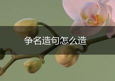 争名造句怎么造