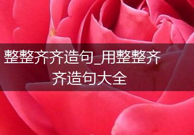 整整齐齐造句_用整整齐齐造句大全