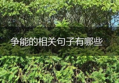 争能的相关句子有哪些